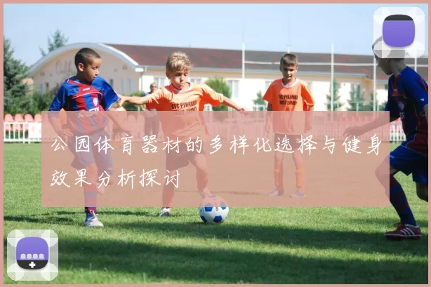 公园体育器材的多样化选择与健身效果分析探讨