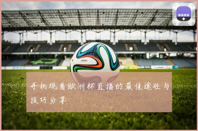 手机观看欧洲杯直播的最佳途径与技巧分享